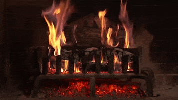 Yule Log Fireplace GIF by Roku