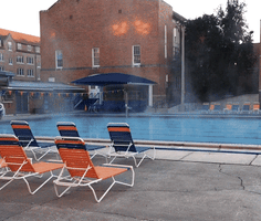winter steam GIF by University of Florida