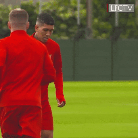 premier league football GIF by Liverpool FC
