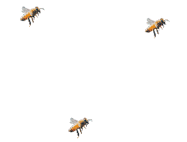 Nature Has The Answer Sticker by Soil Association