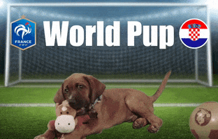 world cup soccer GIF by Florida State University
