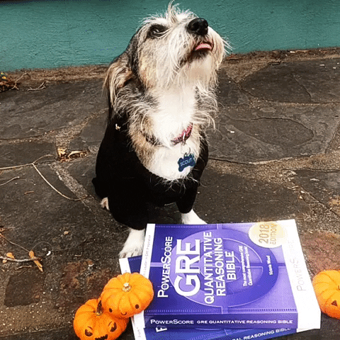 Halloween Gooddoggo GIF