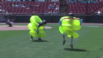 gallup inner tube race GIF by Kane County Cougars