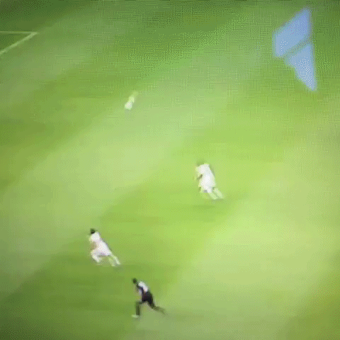 dmanusia  GIF