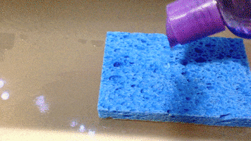 moving sponge