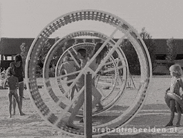 Summer Beach GIF by BrabantinBeelden