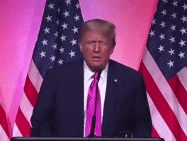 Struggling Donald Trump GIF by GIPHY News