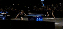 Table Tennis Celebration GIF
