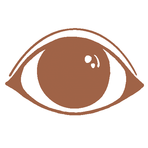 LiveFreeSeeTruth Sticker