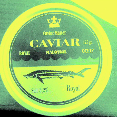 caviarmaster caviar caviarmaster srurgeon GIF