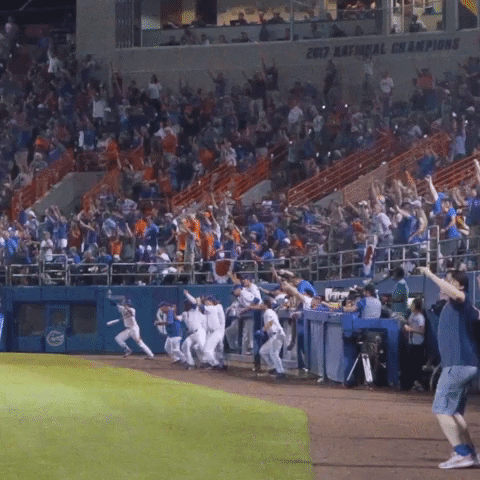 excited excitement GIF by Florida Gators