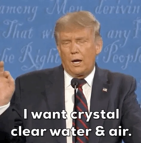 Donald Trump GIF