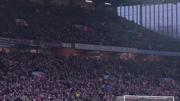 partofthepride GIF by Aston Villa FC