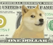 One Dollar Meme GIF thumbnail