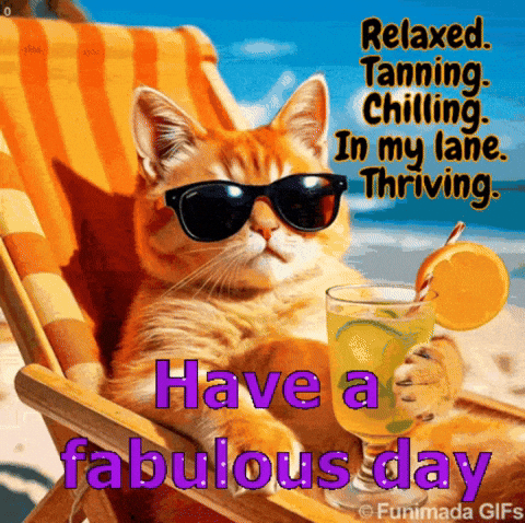 Cool Cat GIF