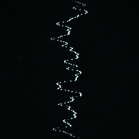 glow black and white GIF by Erica Anderson