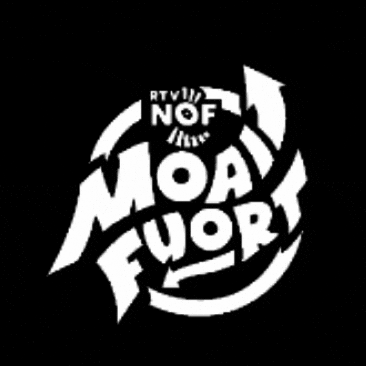 Omrop Fryslan Nof GIF by rtvnof