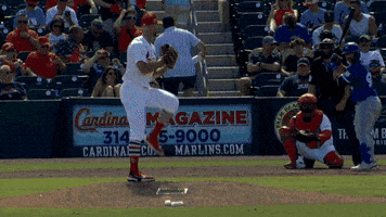 Home Run Mlb GIF by Toronto Blue Jays