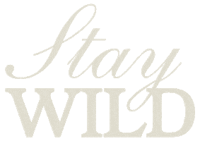 Wild Soul Studio Sticker
