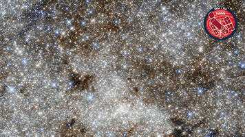 Milky Way Stars GIF by ESA/Hubble Space Telescope