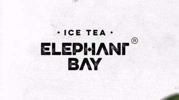 ElephantBay love happy summer drink GIF