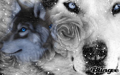 husky