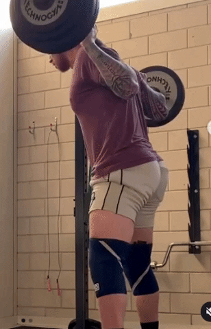 giphy.gif
