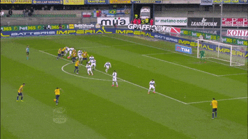 tancredinho  GIF
