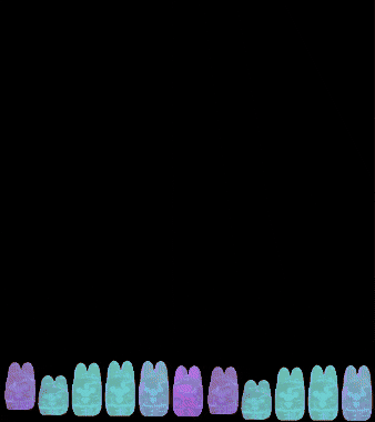 GIF by Botox By Meesha