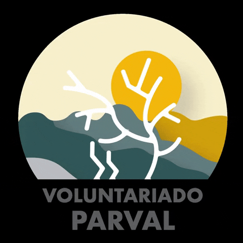 Parval Puesto De Bolsa GIF by Parvalrd