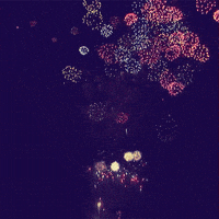 New Year Reaction GIF