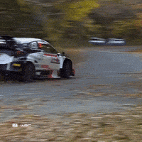 Sport Driving GIF by FIA World Rally Championship