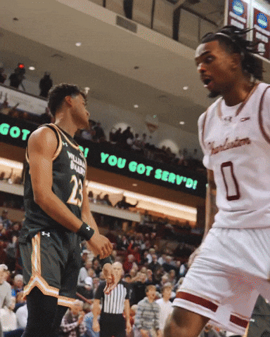 College Of Charleston Cougars GIF by Charleston Basketball