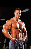 Gym Muscle GIF by Leon Karssen