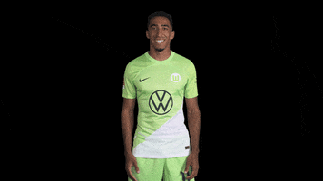 Sport Lol GIF by VfL Wolfsburg