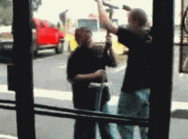 stupidity GIF