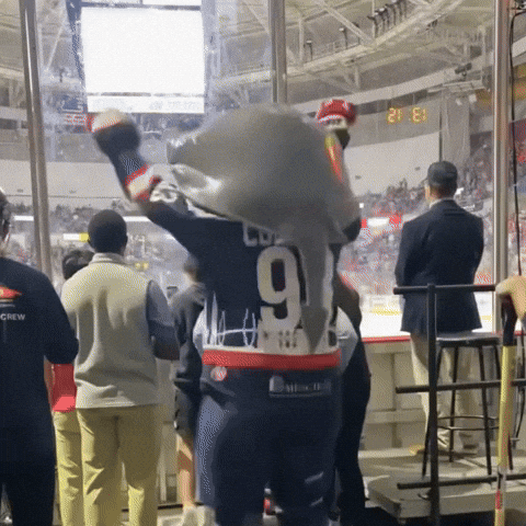 Echl GIF by SCStingrays