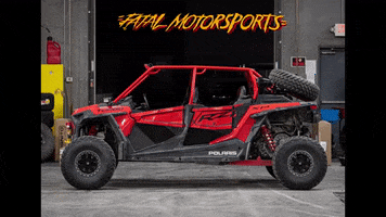 Motorsports GIF