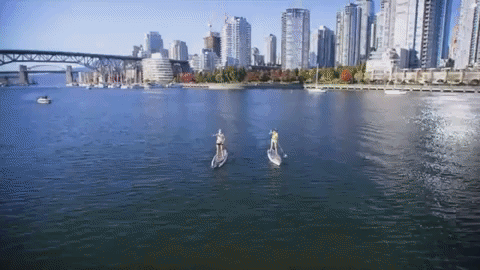 Port Of Vancouver New Terminal Project Sparks Environmental Debate