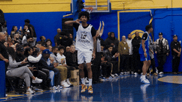 Tajh GIF by Studio Linq