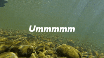 What The Salmon GIF by U.S. Fish and Wildlife Service