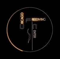GIF by Chicago Freediving