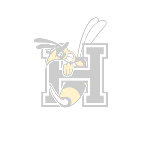 Hornets Baseball Sticker by Bad Homburg Hornets