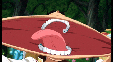 Monkey D Luffy Hat GIF