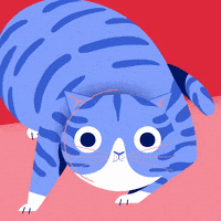 Hungry Cat GIF by nerdo