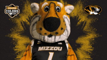 Excited Stand Up GIF by College Colors Day