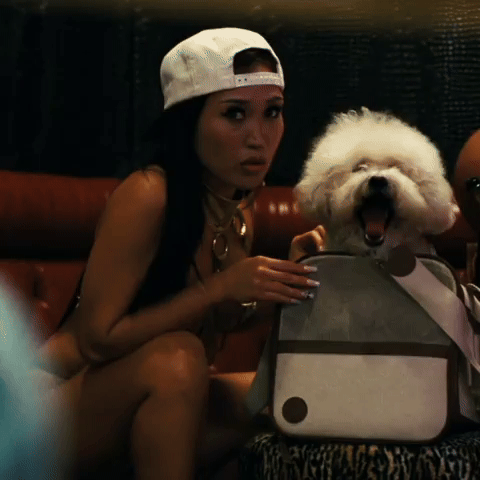 Dog GIF