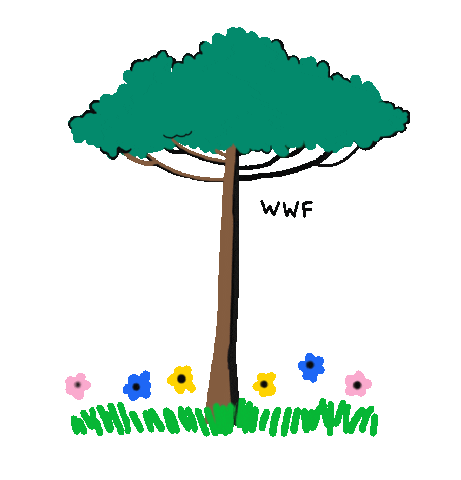 Spring Tree Sticker by WWF Chile