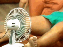 Video-gif. De video begint met een close-up van een ventilator die tussen de benen van een man is gericht. Het zoomt langzaam uit en we zien een shirtloze man die de hitte probeert te verslaan door koele lucht in zijn golvende korte broek te blazen.