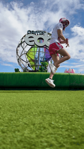 Edc Las Vegas Edcorlando GIF